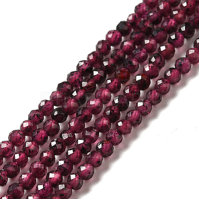 Natural Garnet Beads Strands X-G-I341-09A-1