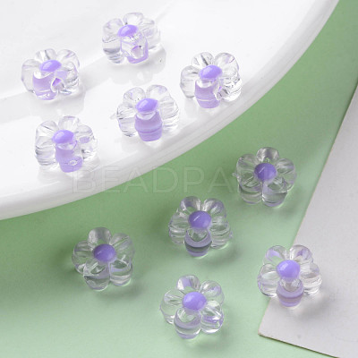 Transparent Acrylic Beads TACR-S152-06A-SS2114-1