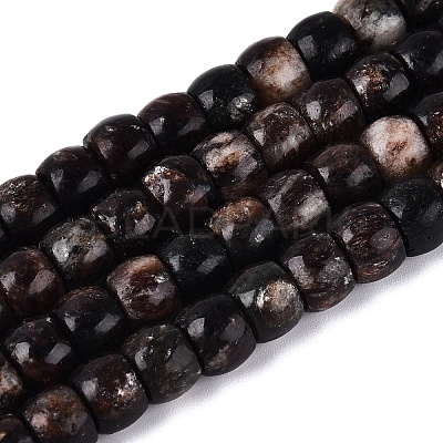 Natural Biotite Beads Strands G-Q616-02A-11-1