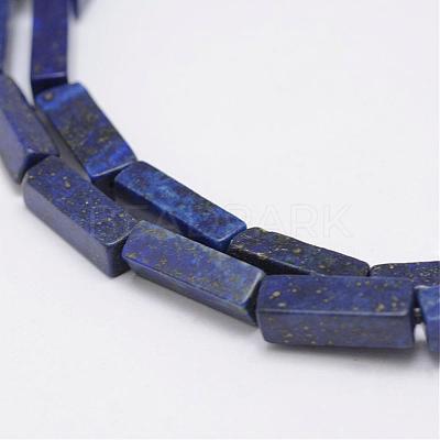 Natural Lapis Lazuli Beads Strands G-E342-11-1