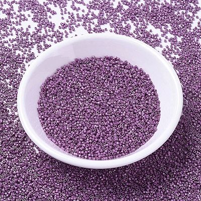 MIYUKI Delica Beads X-SEED-J020-DB1184-1