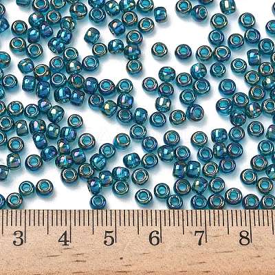 TOHO 6/0 Round Beads X-SEED-TR06-0167BD-1