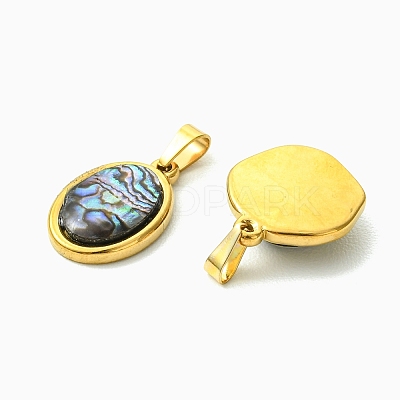 Natural Paua Shell & Acrylic  Pendants PALLOY-JF05942-01-1
