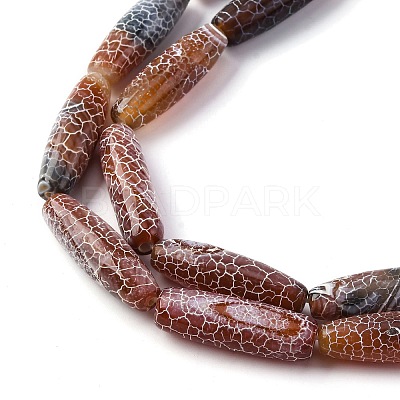 Natural Weathered Agate Beads Strands G-P570-C03-01-1