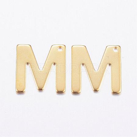 304 Stainless Steel Charms STAS-P141-M-1