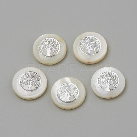 Natural Freshwater Shell Beads SHEL-Q011-006P-1