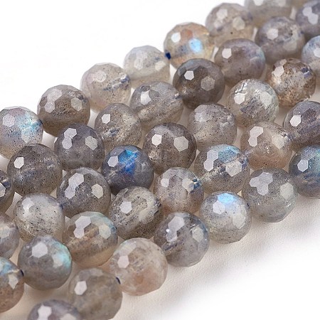 Natural Labradorite Beads Strands G-O176-04B-1