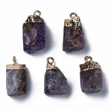 Natural Amethyst Pendants G-Q998-035A-1