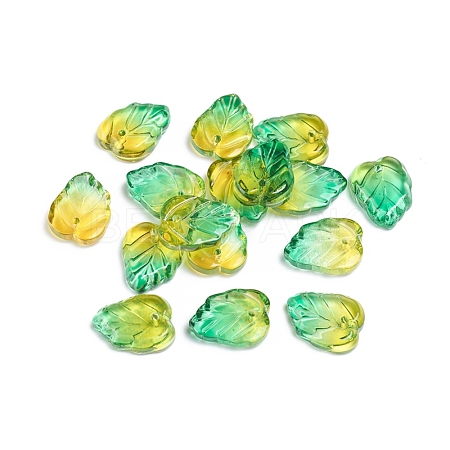 Two-Tone Transparent Glass Charms X-GLAA-H016-15P-1