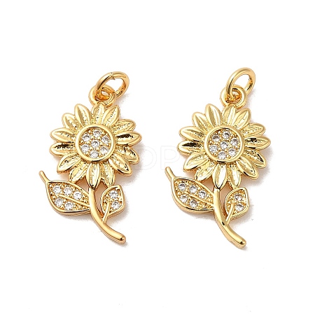 Rack Plating Brass Micro Pave Cubic Zirconia Pendants X-KK-K377-60G-1