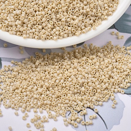 MIYUKI Delica Beads Small X-SEED-J020-DBS1591-1
