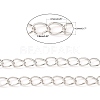 Iron Twisted Chains CH-0.8DK-S-6