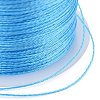 Polyester Braided Metallic Thread OCOR-I007-B-18-3