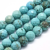 Natural Magnesite Beads Strands G-D0012-01D-1