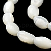 Natural Trochus Shell Beads Strands X-BSHE-E030-02C-4