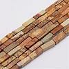 Natural Picture Jasper Beads Strands G-E342-04-1