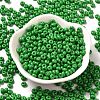 Baking Paint Glass Seed Beads SEED-B001-02A-05-2