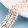 Natural Cultured Freshwater Pearl Beads Strands PEAR-R063-07A-4