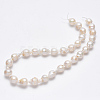 Natural Baroque Pearl Keshi Pearl Beads Strands PEAR-S012-66-4