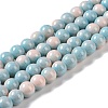Baking Paint Glass Bead Strands GLAA-H031-01C-10-1