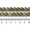 Natural Alashan Agate Beads Strands G-P530-B05-03-4