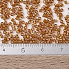 MIYUKI Delica Beads SEED-JP0008-DB1734-4