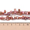 Natural Freshwater Shell Beads Strands BSHE-H018-07B-4