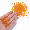 12/0 Glass Seed Beads X1-SEED-A008-2mm-M9-4