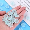 Transparent Acrylic Beads X1-MACR-S373-107-D04-6