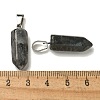 Natural Labradorite Pendants G-Z067-07P-24-4