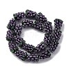 Fruit Series Handmade Lampwork Beads LAMP-R003-04D-2