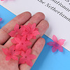 Transparent Acrylic Beads MACR-S373-127-D-3
