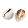 Natural Cowrie Shell Beads LS-X-BSHE-O007-73-3