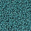 MIYUKI Round Rocailles Beads X-SEED-G007-RR1075-3