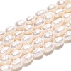 Natural Cultured Freshwater Pearl Beads Strands PEAR-N012-05B-01-2