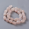 Natural Rose Quartz Beads Strands X-G-O181-13-2