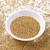 MIYUKI Delica Beads SEED-X0054-DB1833-2