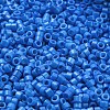 Baking Paint Glass Seed Beads SEED-S042-05A-37-3