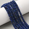 Natural Lapis Lazuli Beads Strands G-L644-B02-02-1