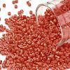 Cylinder Seed Beads SEED-H001-H08-1