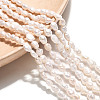 Natural Cultured Freshwater Pearl Beads Strands PEAR-N014-03H-01-1