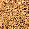 8/0 Inside Colours Transparent Glass Seed Beads SEED-T007-06F-2