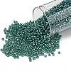 TOHO Round Seed Beads SEED-XTR11-1833-1