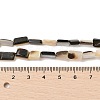 Natural Black Lip Shell Beads Strands SHEL-R100-01A-4