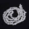 Natural White Jade Beads Strands G-G011-02-4