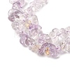 Natural Ametrine Beads Strands G-H315-A03-02-4