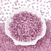 Transparent Inside Colours Glass Seed Beads SEED-T007-13C-1