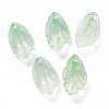 Transparent Glass Pendants GLAA-H102-B04-3