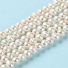 Natural Cultured Freshwater Pearl Beads Strands PEAR-E018-43-2