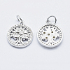 Brass Micro Pave Clear Cubic Zirconia Charms ZIRC-J040-10P-NR-2